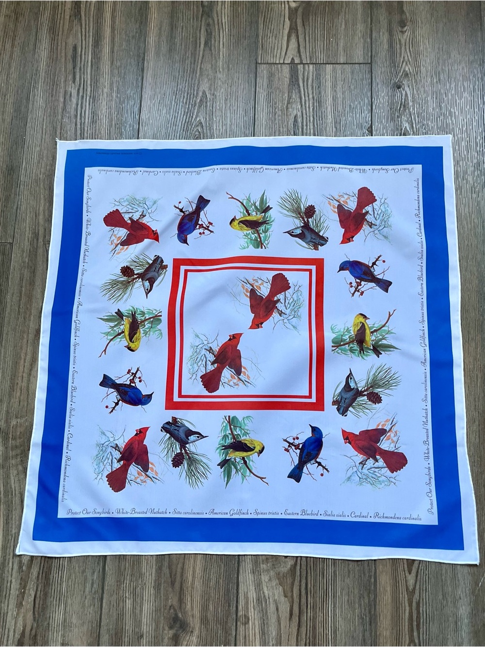Bird Print Square Scarf in White, Blue & Red 25/24 Inch
